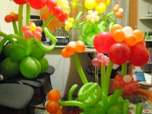 cvety_iz_vozdushnyh_sharikov_mogilev (8)_