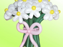 romashki_iz_vozdushnyh_sharikov_mogilev